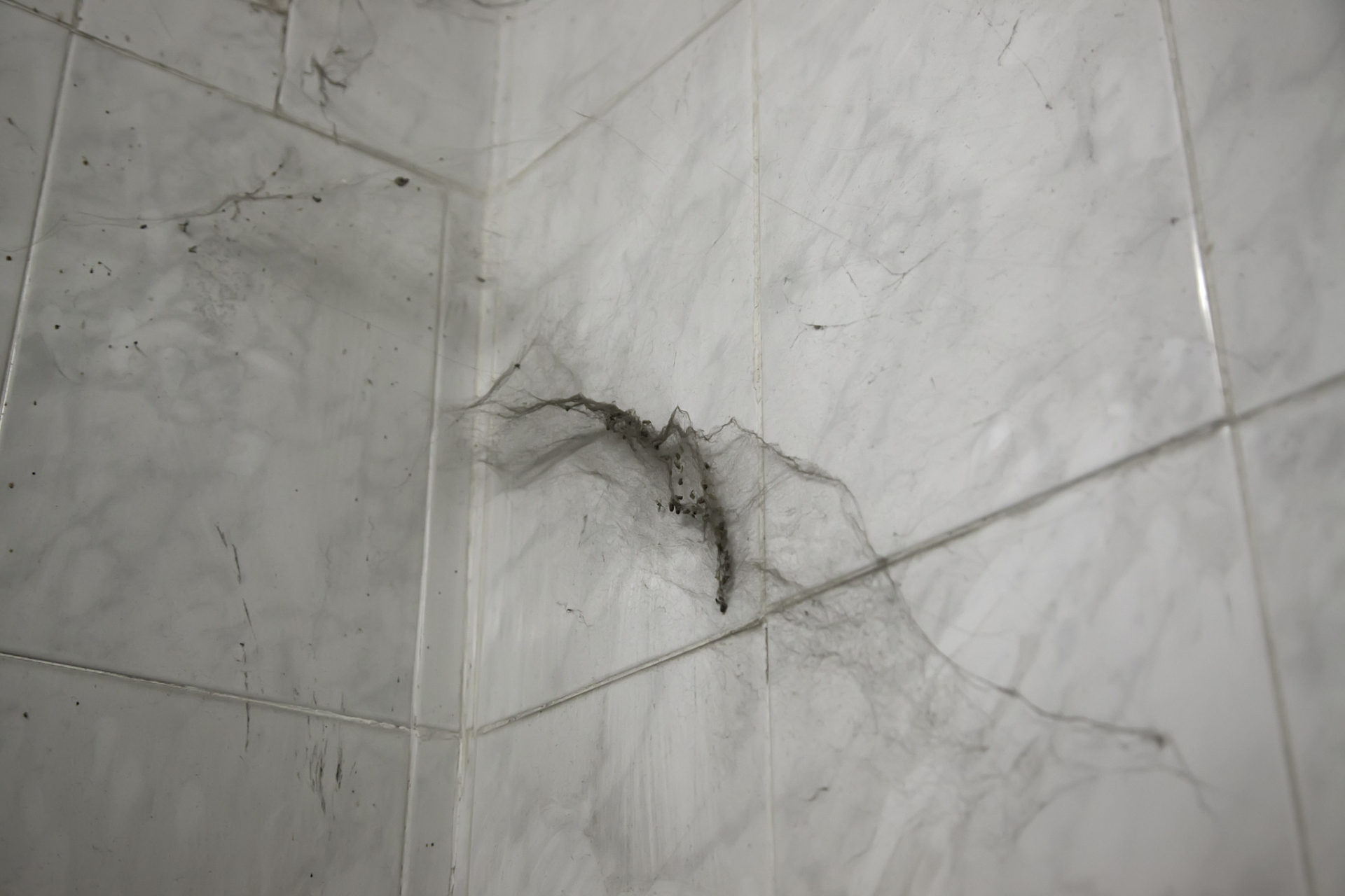 卫生间墙砖空鼓了有什么办法补救(卫生间墙体瓷砖空鼓了怎么维修呢?) 卫生间墙砖空鼓了有什么办法补救(卫生间墙体瓷砖空鼓了怎么维修呢?)